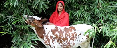 Putting farmers first: Introducing seasonal loans from BRAC Microfinance - Header Image