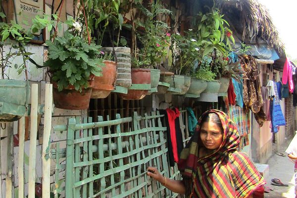 শহুরে কৃষি: সময়ের প্রতিফলন - Header Image