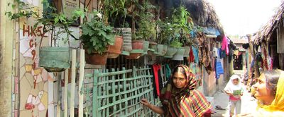 শহুরে কৃষি: সময়ের প্রতিফলন - Header Image