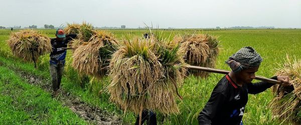 COVID-19: Update from Asif Saleh (27 April 2020) - Header Image