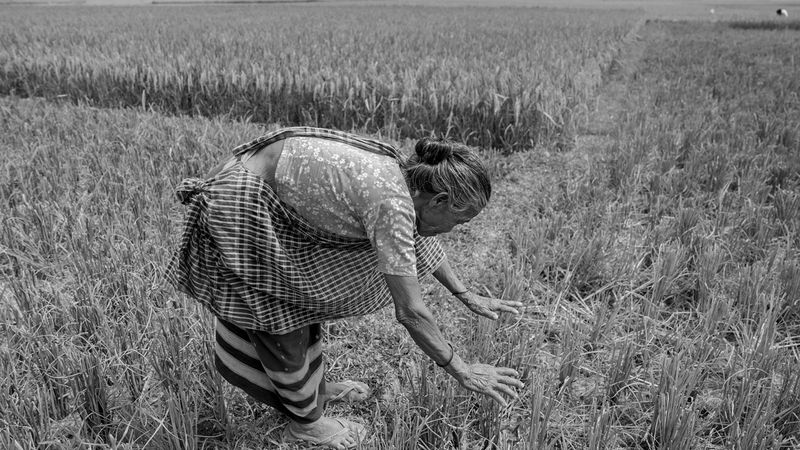 মালতী রাকসাম 