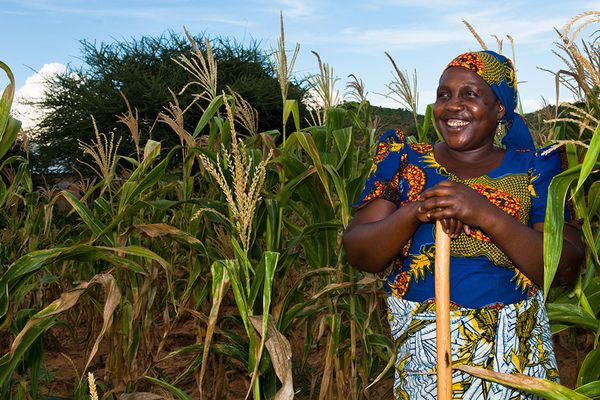 2+6=17? Leveraging water & sanitation for nutrition - Header Image