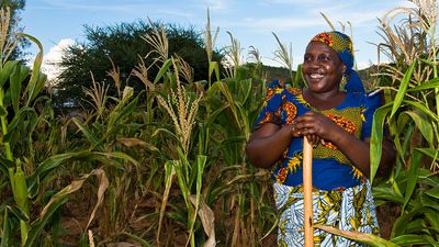 2+6=17? Leveraging water & sanitation for nutrition - Header Image