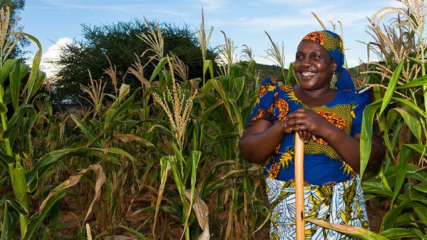 2+6=17? Leveraging water & sanitation for nutrition - Header Image