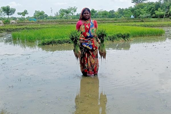 দিন বদলের চেষ্টায় সুচিত্রা - Header Image