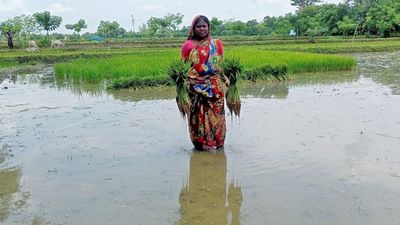 দিন বদলের চেষ্টায় সুচিত্রা - Header Image