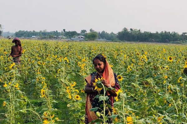 জলবায়ু পরিবর্তনের চ্যালেঞ্জ মোকাবিলার স্থানীয় উদ্যোগ - Header Image