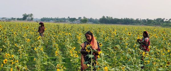 জলবায়ু পরিবর্তনের চ্যালেঞ্জ মোকাবিলার স্থানীয় উদ্যোগ - Header Image