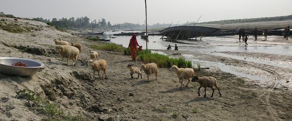 A super cyclone, flooding and a pandemic: The year Bangladesh had three humanitarian crises at the same time - Header Image