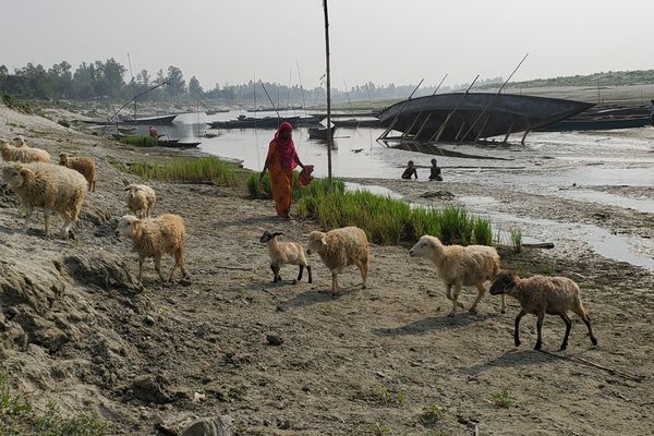 A super cyclone, flooding and a pandemic: The year Bangladesh had three humanitarian crises at the same time - Header Image