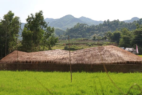 Beyond survival: How Rohingyas have built their own space for women in Cox’s Bazar - Header Image