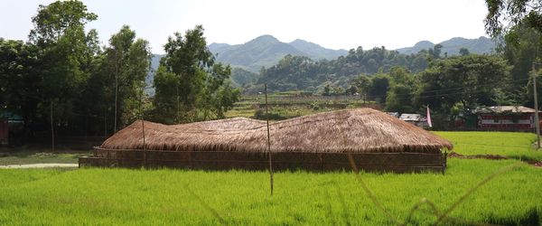 Beyond survival: How Rohingyas have built their own space for women in Cox’s Bazar - Header Image