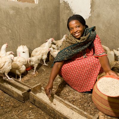 think BIG prospectus - tanzania ag 1 (1)