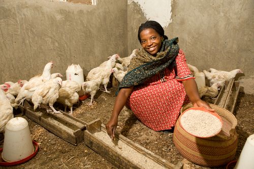 think BIG prospectus - tanzania ag 1 (1)