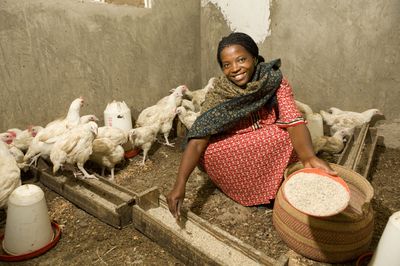 Tanzania | BRAC argriculture, a woman feeding her chickens