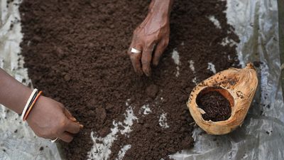 vermicompost-banner