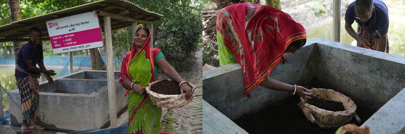 From left to right: Archana with her cow, semi-enclosed storage pit, and worms being added to the manure.