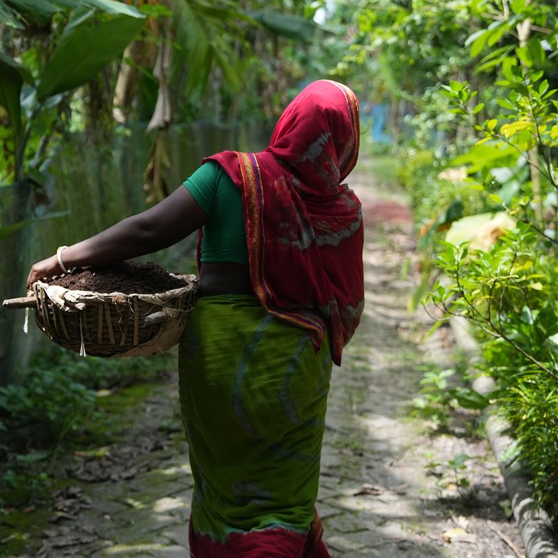 Archana’s story resonates with that of thousands of women in coastal Bangladesh.