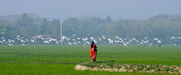 খেলার মাঠ ও বিশ্বাস হত্যার বিষ - Header Image